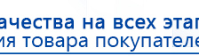 СКЭНАР-1-НТ (исполнение 01)  купить в Тольятти, Аппараты Скэнар купить в Тольятти, Официальный сайт Денас denaspkm.ru